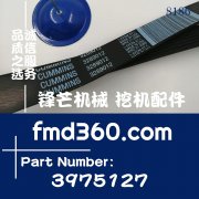 江西南昌康明斯QSB5.9发电机皮带3975127