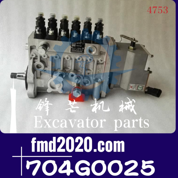 康明斯燃油泵BHF6P120005，704G0025(图1)