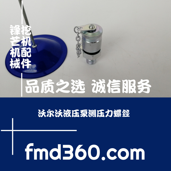 江西省进口挖机配件沃尔沃挖机液压泵测压力螺丝(图1)